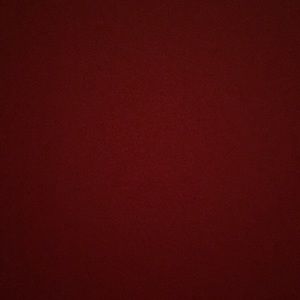 Meet your Posher, Carmen